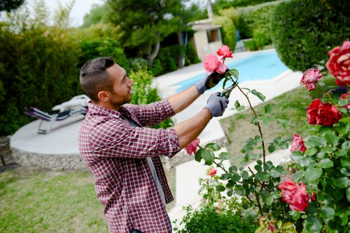 Eco-friendly lawn mowing equipment being used