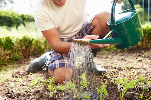 Operative cleaning mossy decking in a London garden